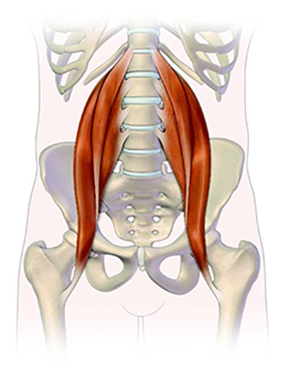 Struggling With Your Golf Swing Golf Body Rx